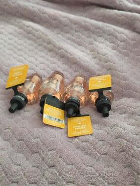 Bath & Body Works Sparkling Summer Wallflower